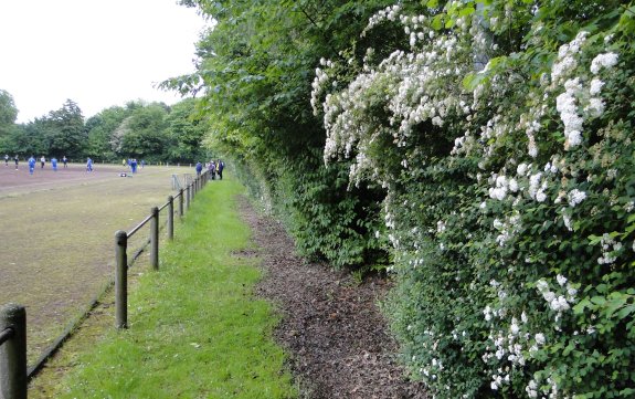 Sportplatz B&uuml;ttnerstra&szlig;e