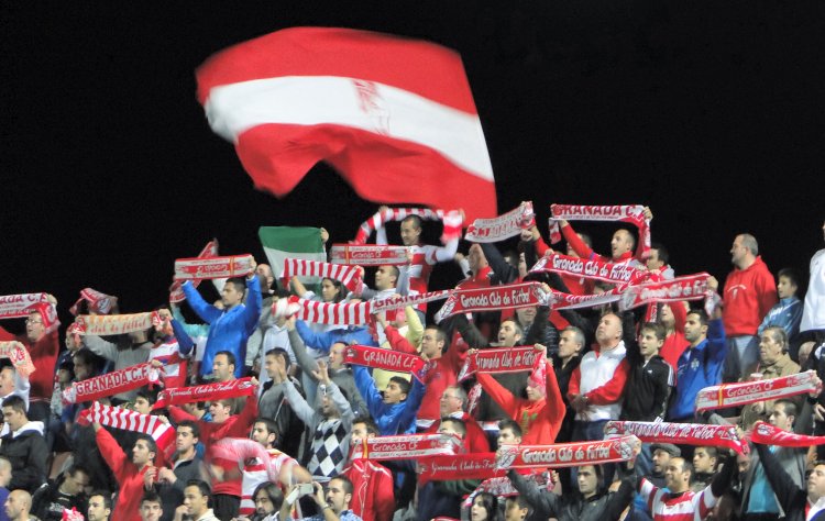 Estadio Nuevo Los C&aacute;rmenes