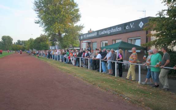 Bezirkssportanlage Rheing&ouml;nheim (Haag-Park-Arena)