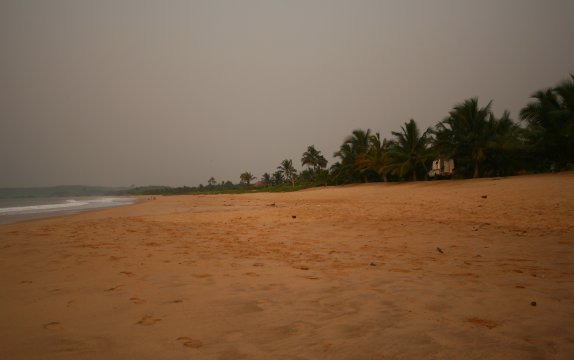 Green Turtle Lodge